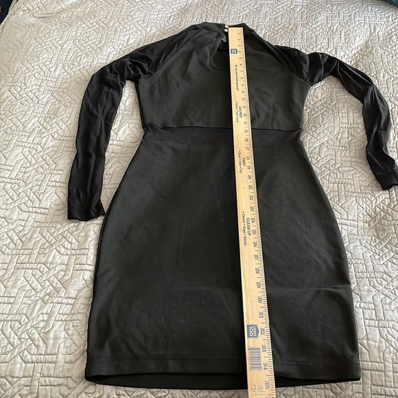 Feathers Stretchy Dress with sheer arms and belly - Picture 4 of 4